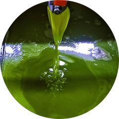 Home 4 evoo lasts over 8 years 1